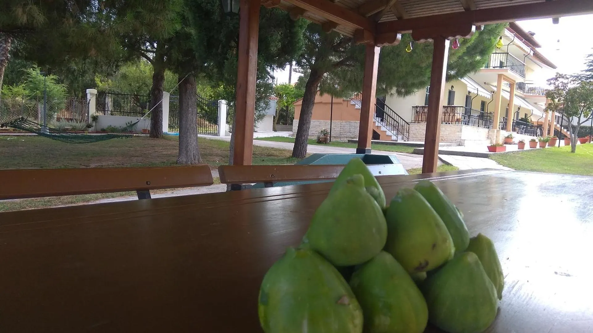 Olive Mare Holidays Nea Iraklia