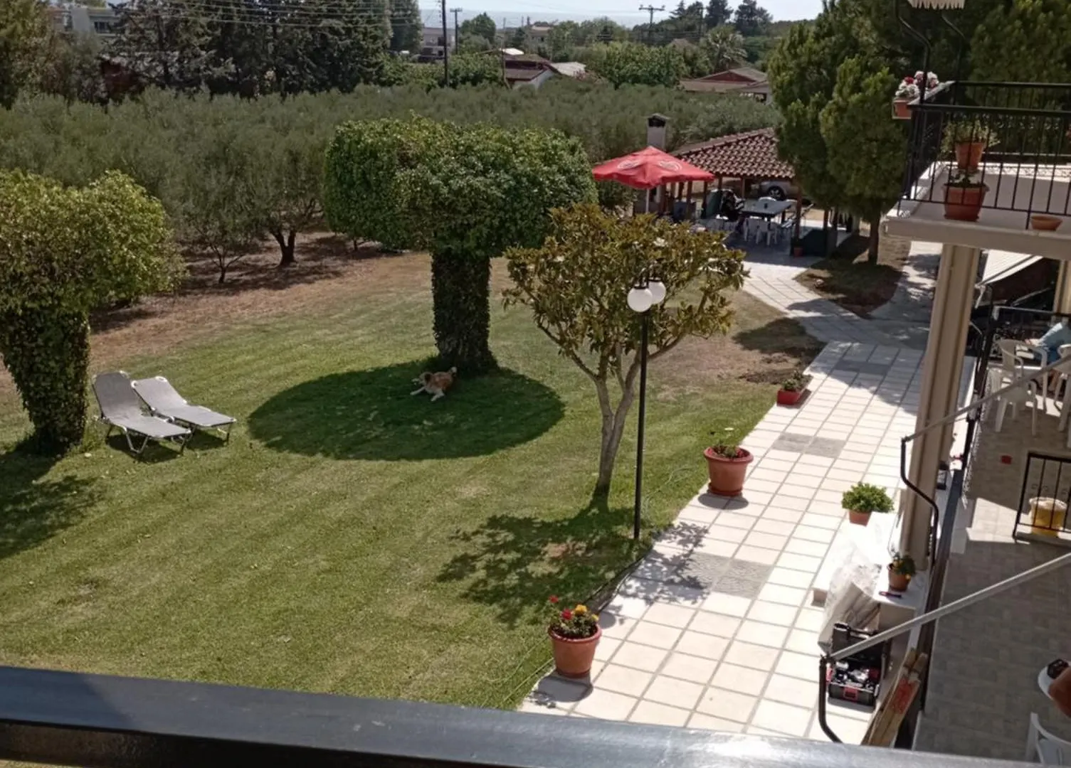 Olive Mare Holidays Nea Iraklia