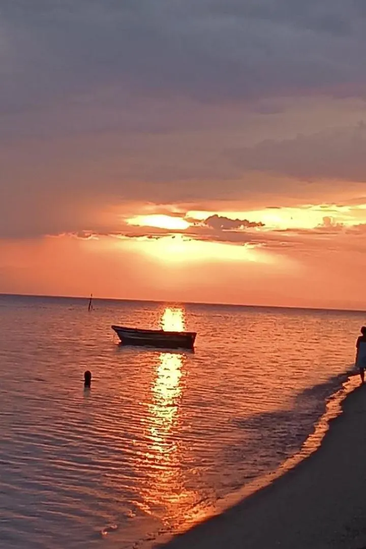 Olive Mare Holidays Nea Iraklia
